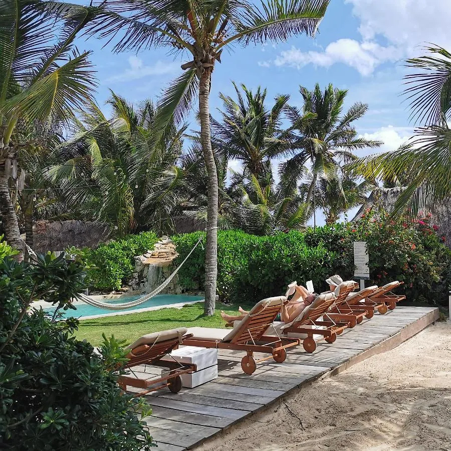 Coco Unlimited Hotel Tulum