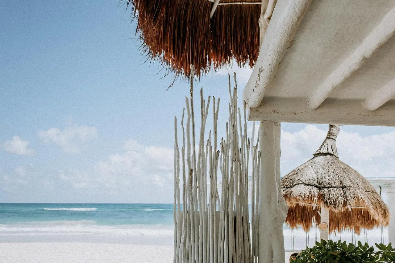 Coco Unlimited Hotel Tulum 5*,  Mexico