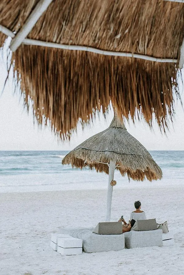Coco Unlimited Hotel Tulum