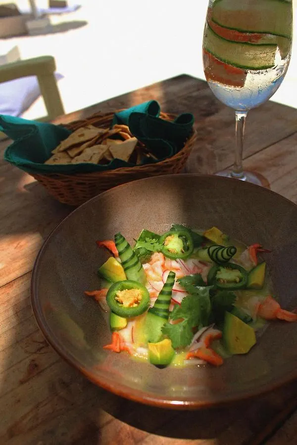 Coco Unlimited Hotel Tulum