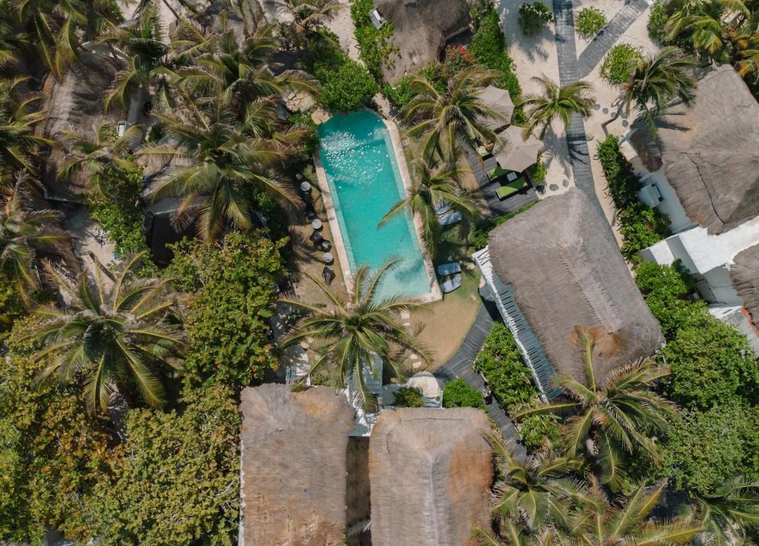 Coco Unlimited Hotel Tulum